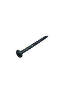 Skirt Screw for Master Spas 8 x 1.5"