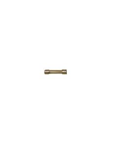 10 Amp Fuse