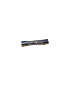 100mA (0.1A) Slow Blow Fuse