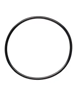 O-Ring for 2" Diverter