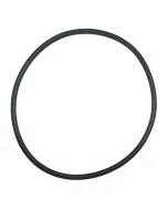O-Ring for Pump Wet End