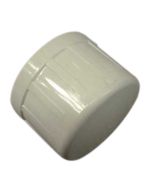 1 inch Slip Cap 