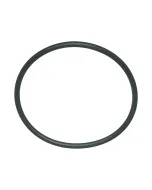 2 inch Pump O-Ring from Master Spa 