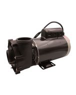 12 Amp, 1 Speed, LX 230 Volt Pump