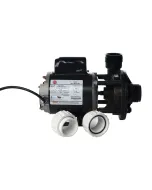 Top Discharge, 120V Aqua-Flo Circ Pump