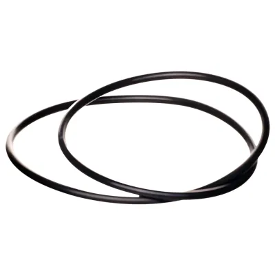 O-Ring for WaterWay Executive 48/56 Wet End