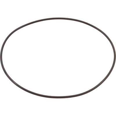 O-Ring for WaterWay Executive 48/56 Wet End