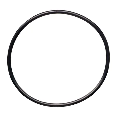 O-Ring for 2" Diverter