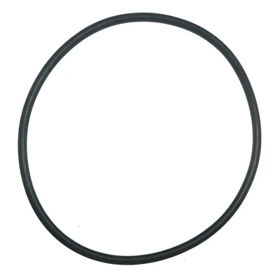 O-Ring for Pump Wet End