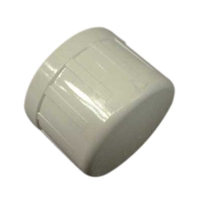 1 inch Slip Cap 