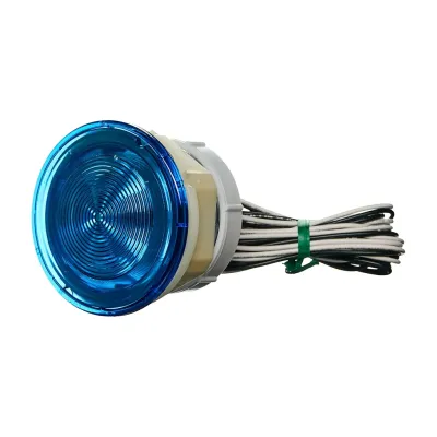 Complete 3 inch Light Assembly