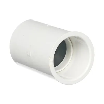 1 inch Check Valve