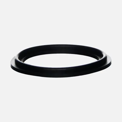 2" gasket for Laing Circ Pump