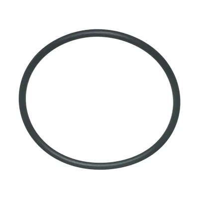 2 inch Pump O-Ring from Master Spa