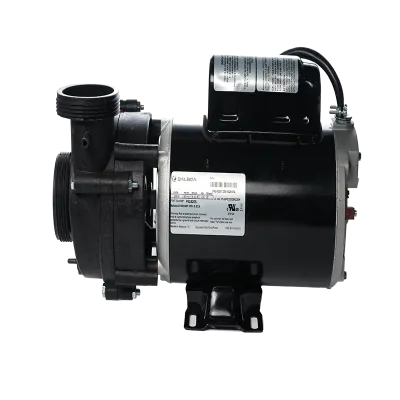 Pump, 2HP 2 Speed 48 Frame