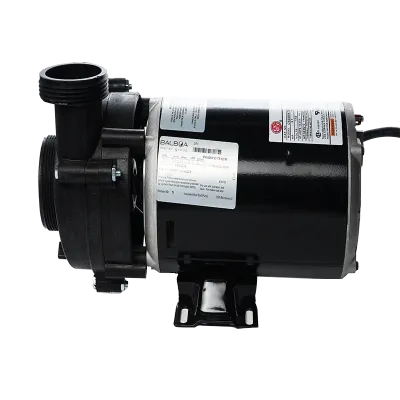 11 amp, 2 speed 120 volt Pump