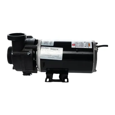 11 amp, 2 speed 120 volt Pump