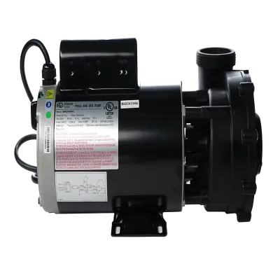 12 Amp, 1 Speed, LX 230 Volt Pump