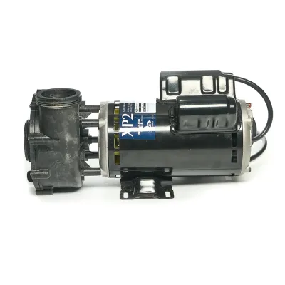 5 Horsepower, 2 speed Aqua-Flo Pump