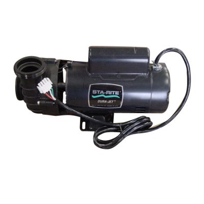 3.6 horsepower, 2 speed Sta-Rite / Pentair Pump