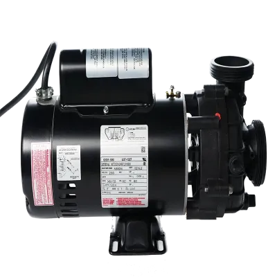 3.6 horsepower, 2 speed Sta-Rite / Pentair Pump
