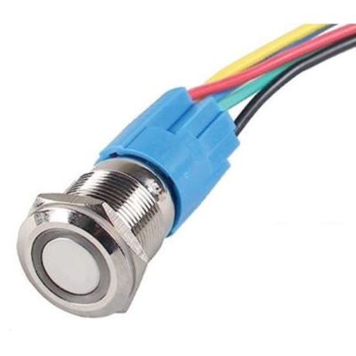 SS Push Button Switch For Chilly Goat