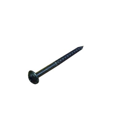 Skirt Screw for Master Spas 8 x 1.5"