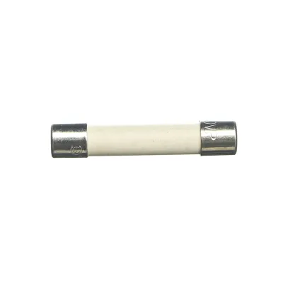 20 Amp Fuse