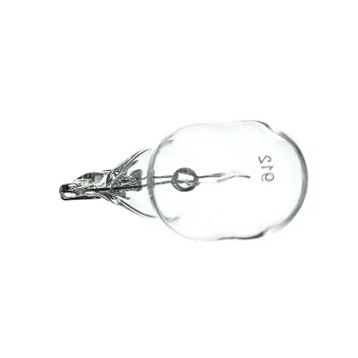 Spa Light Bulb