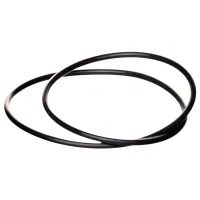O-Ring for WaterWay Executive 48/56 Wet End