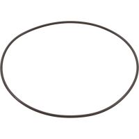 O-Ring for WaterWay Executive 48/56 Wet End