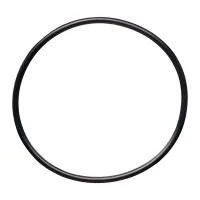 O-Ring for 2" Diverter
