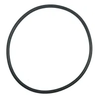 O-Ring for Pump Wet End