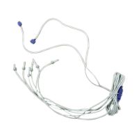 Harness, 6 PT SPD 48" with Nut, O-ring