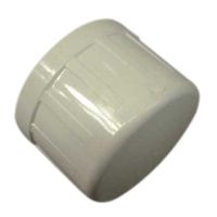 1 inch Slip Cap 