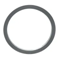 Gasket for Filter Housing for Chilly Goat