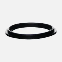 2" gasket for Laing Circ Pump