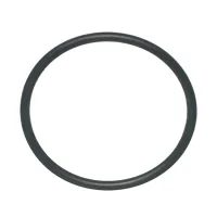 1.5 inch Pump O-Ring