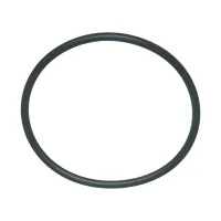 2 inch Pump O-Ring from Master Spa