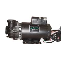 6 horsepower, 1 speed, 56 Frame Sta-Rite / Pentair Pump