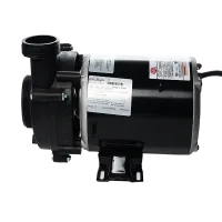 11 amp, 2 speed 120 volt Pump