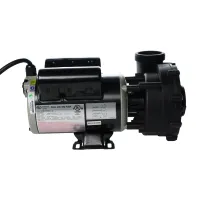 10.8 Amp, 2 Speed 120 Volt Pump