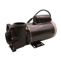 12 Amp, 1 Speed, LX 230 Volt Pump
