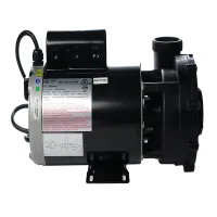 12 Amp, 1 Speed, LX 230 Volt Pump