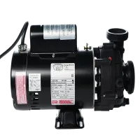 3.6 horsepower, 2 speed Sta-Rite / Pentair Pump