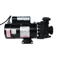 3.6 horsepower, 2 speed Sta-Rite / Pentair Pump