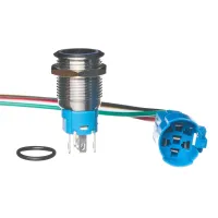 Push Button Switch SS for Chilly Goat