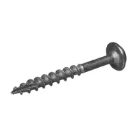 Skirt Screw for Master Spas 8 x 1.5"