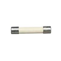 20 Amp Fuse