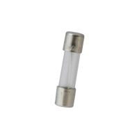 Glass Time Delay Fuse .5A 250V Mini Cartridge